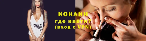 МДПВ Бородино